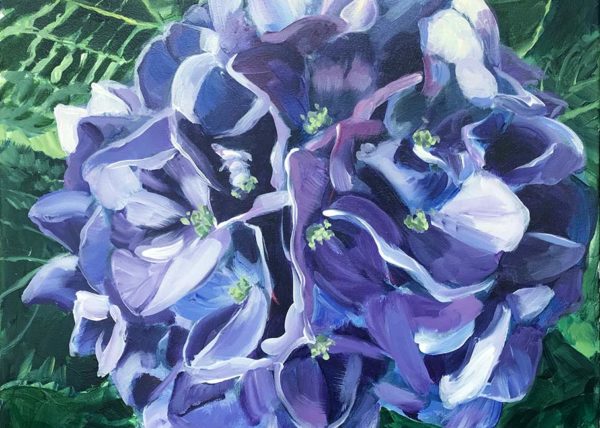 Blue Hydrangea 24x24 painting by Susan Pepler