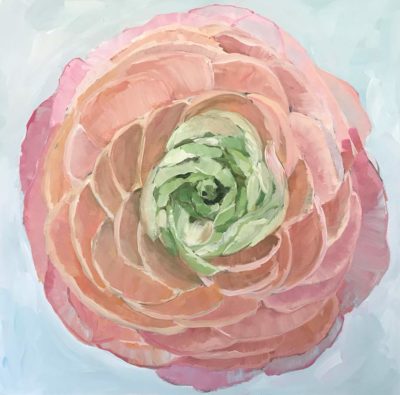 Pink and Green Ranunculus by Susan Pepler